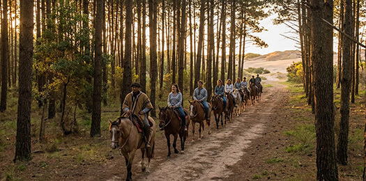 Cabalgatas al Atardecer