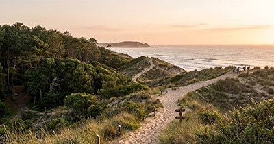 Camino entre dunas y bosque en Carilo